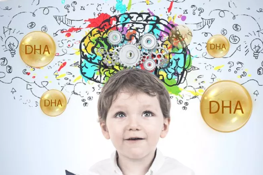 DHA và EPA – Chìa khóa giúp cải thiện trí nhớ và khả năng phản xạ